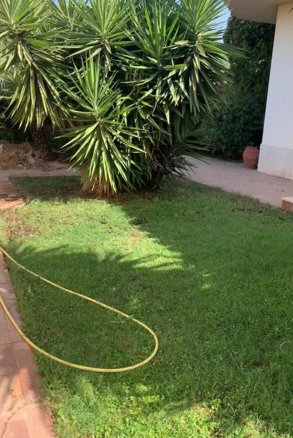 Villa Sunlight Sardegna カピターナ エクステリア 写真